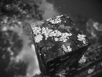 Boîte à Polas - 2015, 2015_147