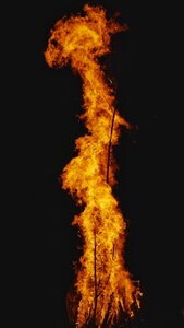 Boîte à Polas - 2015, 2015_149