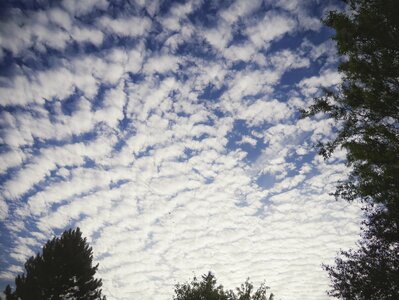 Boîte à Polas - 2015, 2015_152