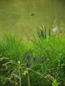 Boîte à Polas - 2015, 2015_163