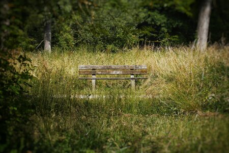 Boîte à Polas - 2015, 2015_165