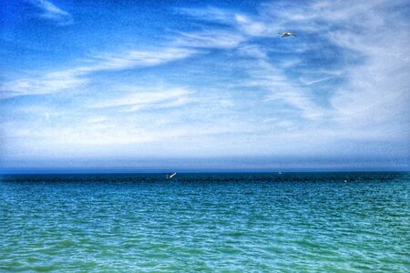 Boîte à Polas - 2015, 2015_176