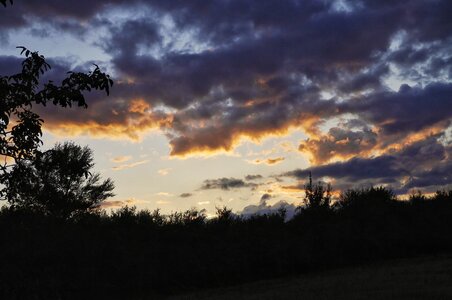 Boîte à Polas - 2015, 2015_185