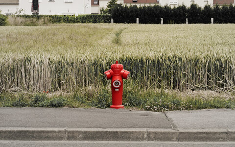 Boîte à Polas - 2015, 2015_198