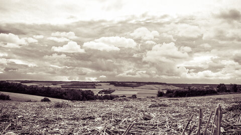 Boîte à Polas - 2015, 2015_202