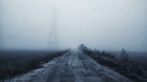 Boîte à Polas - 2015, 2015_208