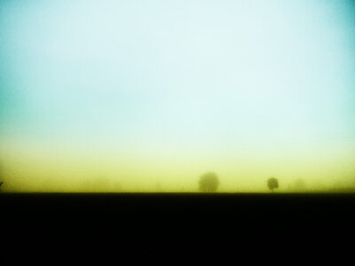 Boîte à Polas - 2015, 2015_214