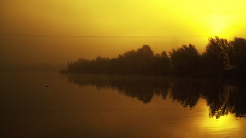 Boîte à Polas - 2015, 2015_216