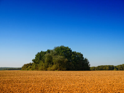Boîte à Polas - 2015, 2015_219