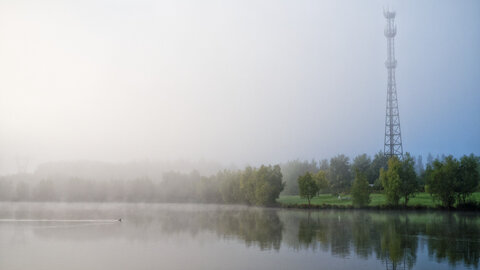 Boîte à Polas - 2015, 2015_222