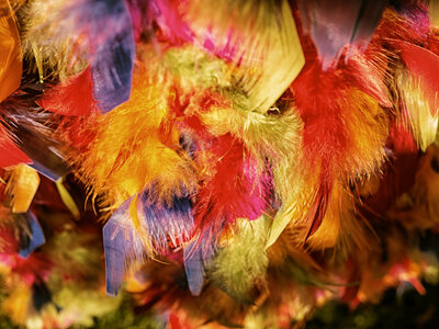 Boîte à Polas - 2015, 2015_223