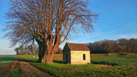 Boîte à Polas - 2015, 2015_236