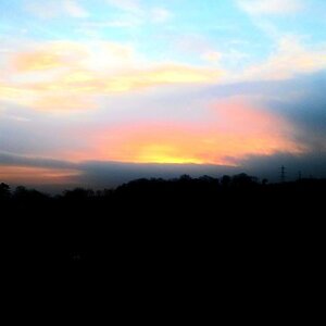 Boîte à Polas - 2015, 2015_242