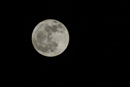 Boîte à Polas - 2014, 2014_013