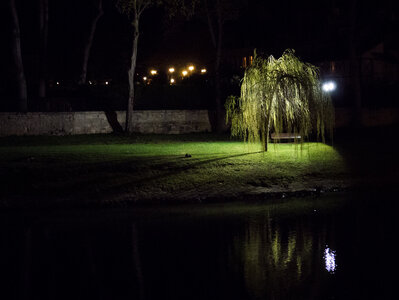 Boîte à Polas - 2014, 2014_016