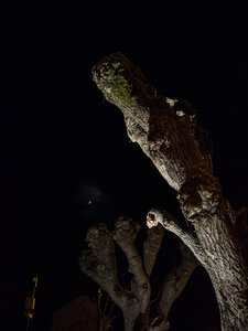 Boîte à Polas - 2014, 2014_018