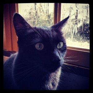 Boîte à Polas - 2014, 2014_032