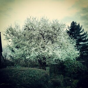 Boîte à Polas - 2014, 2014_035