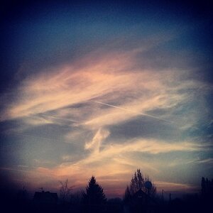 Boîte à Polas - 2014, 2014_042