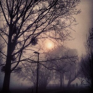 Boîte à Polas - 2014, 2014_048