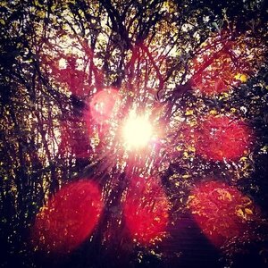 Boîte à Polas - 2014, 2014_055