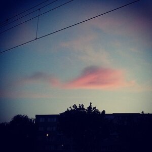 Boîte à Polas - 2014, 2014_056