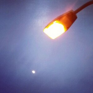 Boîte à Polas - 2014, 2014_059