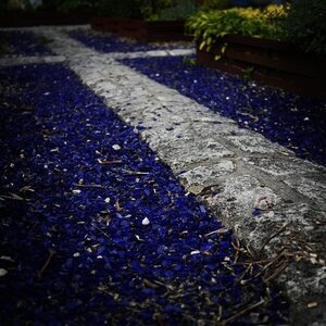 Boîte à Polas - 2014, 2014_074