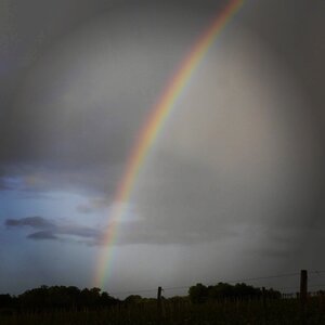 Boîte à Polas - 2014, 2014_076