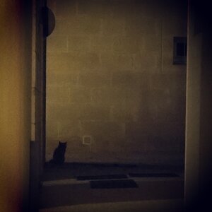 Boîte à Polas - 2014, 2014_078