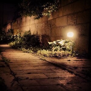 Boîte à Polas - 2014, 2014_084