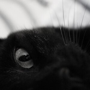 Boîte à Polas - 2014, 2014_087