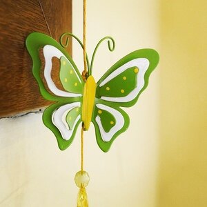 Boîte à Polas - 2014, 2014_088