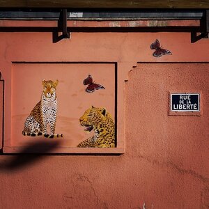 Boîte à Polas - 2014, 2014_090