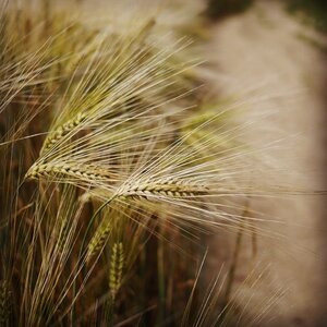 Boîte à Polas - 2014, 2014_091