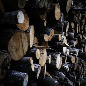 Boîte à Polas - 2014, 2014_093