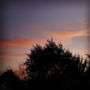 Boîte à Polas - 2014, 2014_096