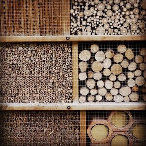 Boîte à Polas - 2014, 2014_099