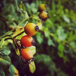 Boîte à Polas - 2014, 2014_113