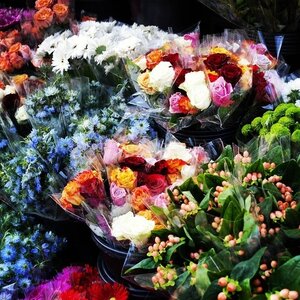 Boîte à Polas - 2014, 2014_118