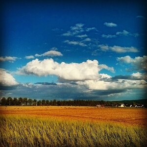 Boîte à Polas - 2014, 2014_122