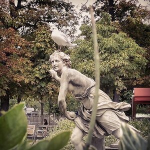 Boîte à Polas - 2014, 2014_129