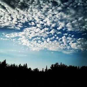 Boîte à Polas - 2014, 2014_135