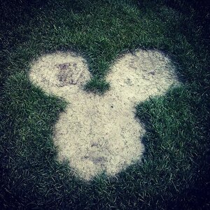 Boîte à Polas - 2014, 2014_136