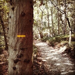 Boîte à Polas - 2014, 2014_141