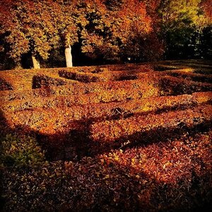 Boîte à Polas - 2014, 2014_150