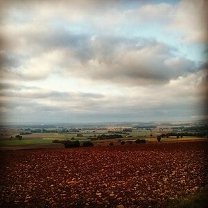 Boîte à Polas - 2014, 2014_163