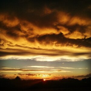 Boîte à Polas - 2014, 2014_171