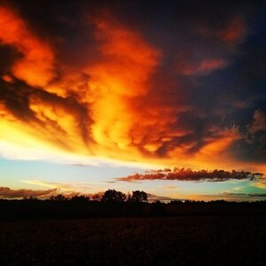 Boîte à Polas - 2014, 2014_172