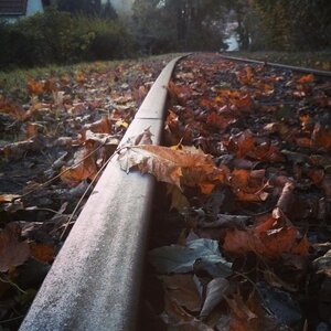 Boîte à Polas - 2014, 2014_191